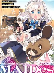 塞纳星影 法国 2014